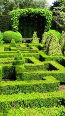 Knot Garden image