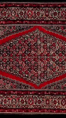 Oriental Rug image